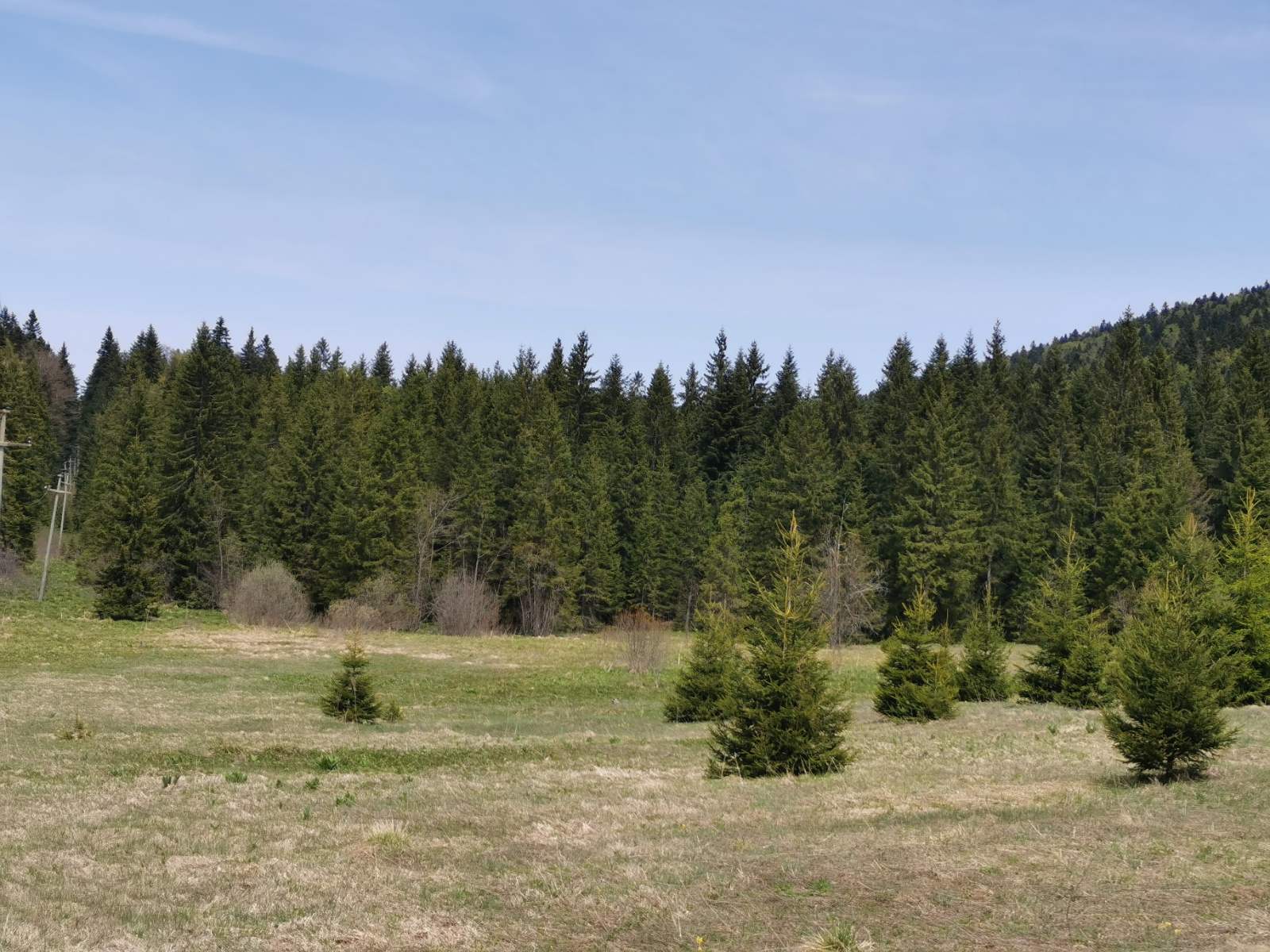 Na prodaju dva placa u blizini Mitrovca na Tari 3