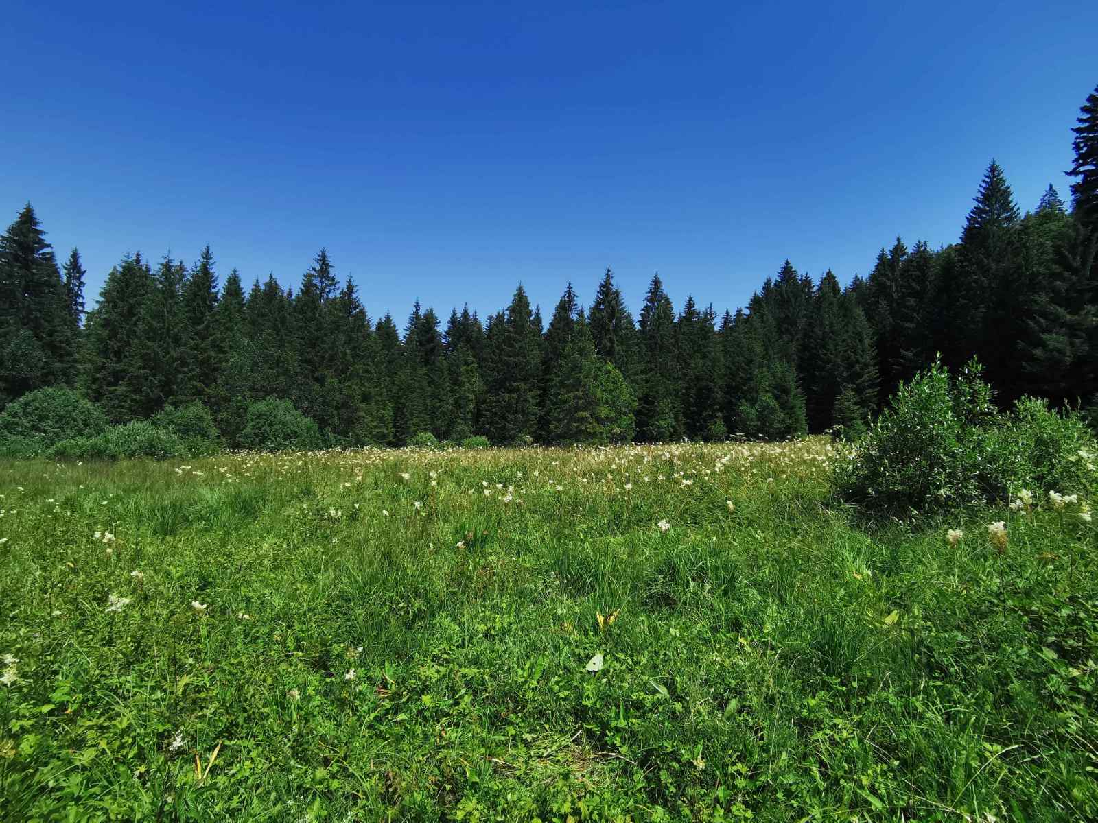 Na prodaju dva placa u blizini Mitrovca na Tari 4