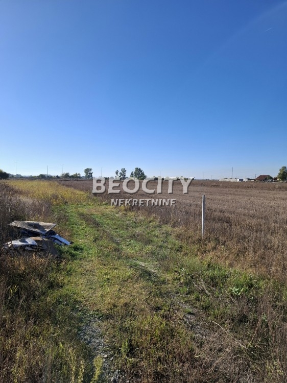 Plac, Bežanijska kosa, Ane Bedlic ID: 123034 2