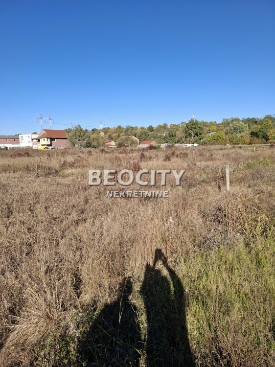 Plac, Bežanijska kosa, Ane Bedlic ID: 123034 3