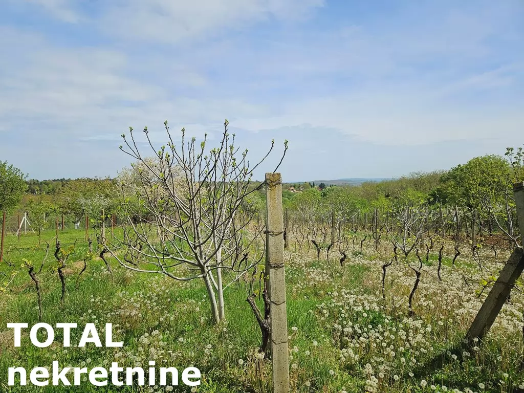 Kuca,BANSTOL,BANSTOL,kv: 120.00, € 80000, ID: 3090844 6