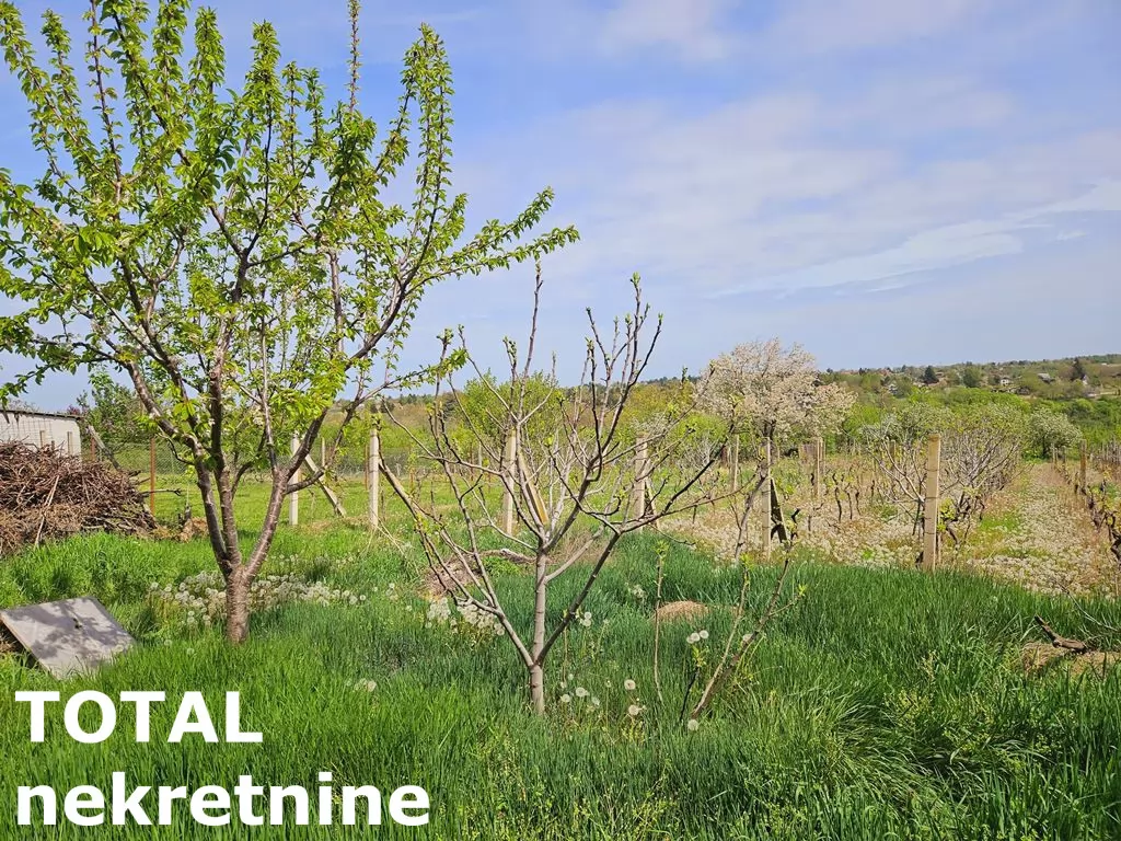 Kuca,BANSTOL,BANSTOL,kv: 120.00, € 80000, ID: 3090844 7