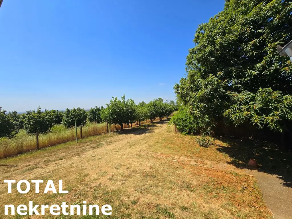 Kuca,BANSTOL,BANSTOL,kv: 69.00, € 123600, ID: 3091405 10