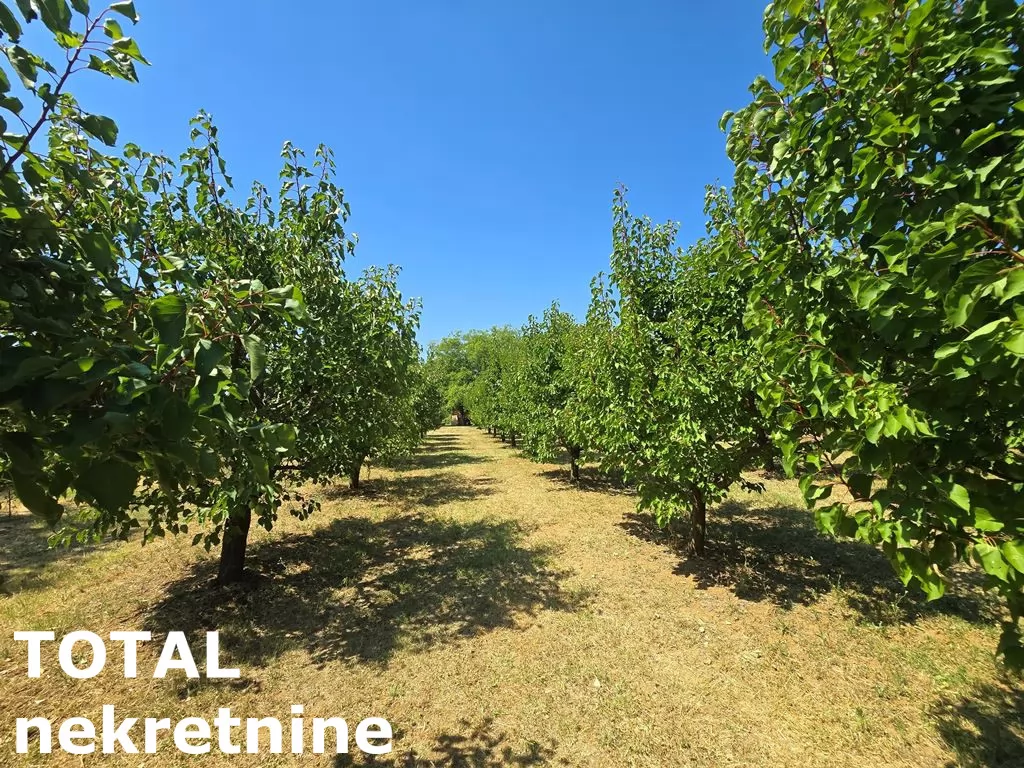 Kuca,BANSTOL,BANSTOL,kv: 69.00, € 123600, ID: 3091405 11