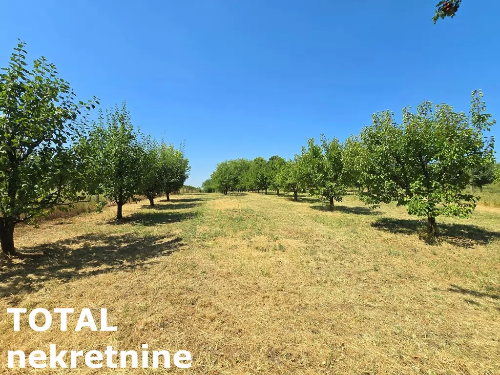 Kuca,BANSTOL,BANSTOL,kv: 69.00, € 123600, ID: 3091405 12