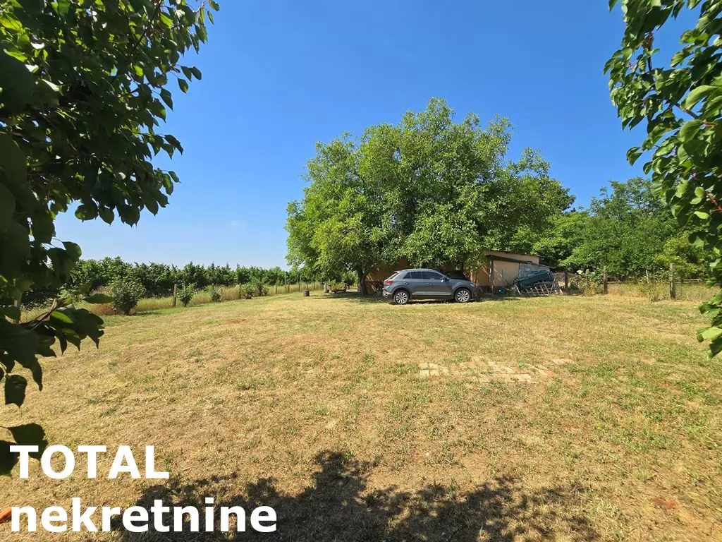 Kuca,BANSTOL,BANSTOL,kv: 69.00, € 123600, ID: 3091405 13