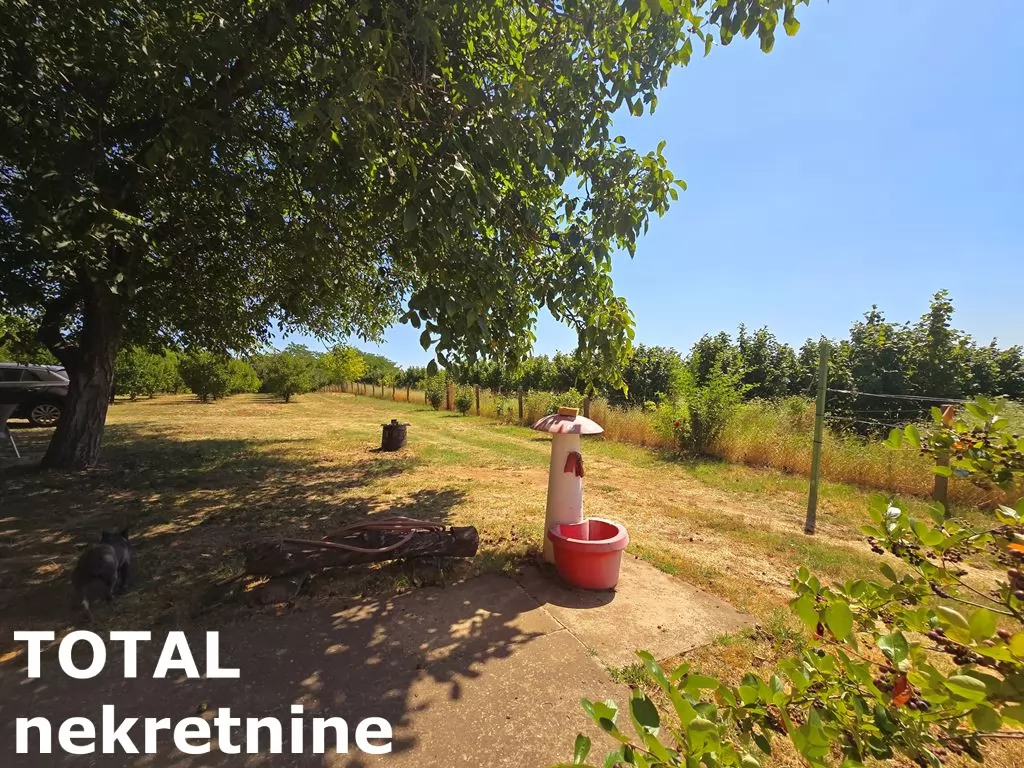 Kuca,BANSTOL,BANSTOL,kv: 69.00, € 123600, ID: 3091405 8