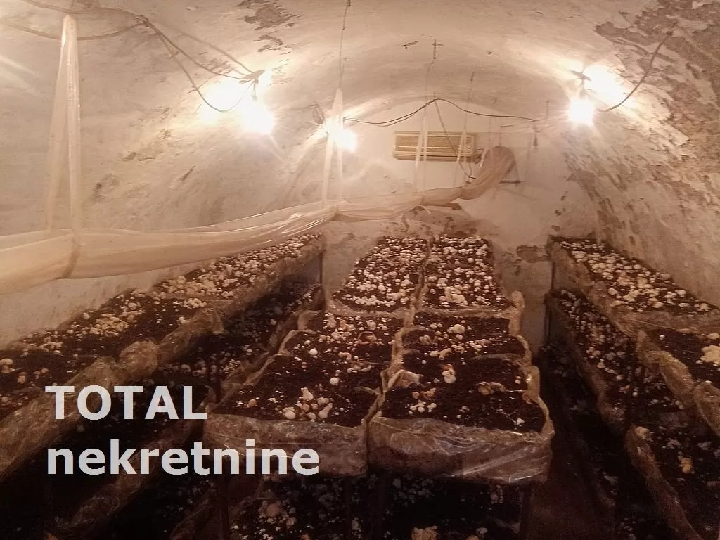 Kuca,BEOCIN,BEOCIN-SELO,kv: 74.00, € 51500, ID: 3090078 11