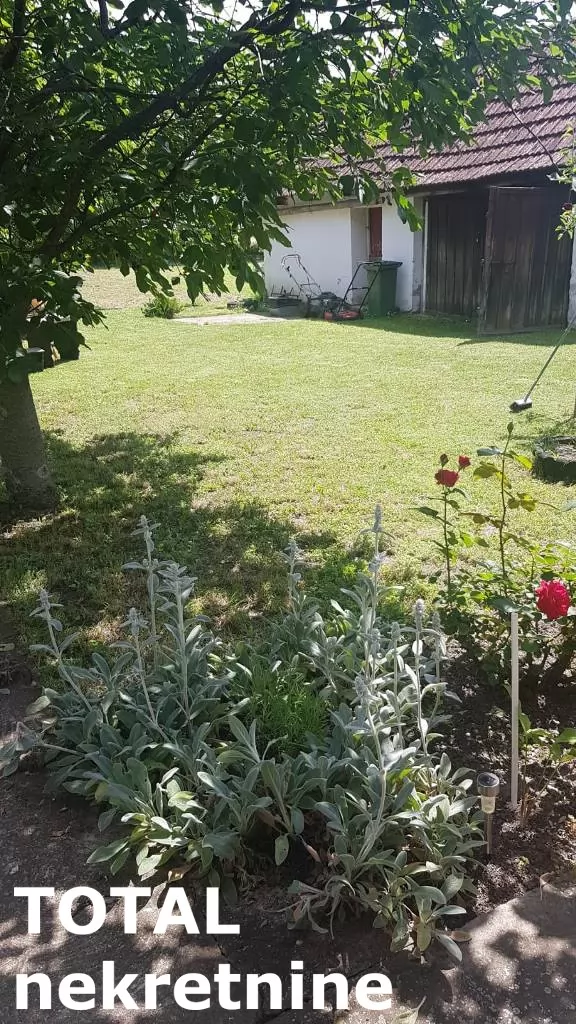 Kuca,NADALJ,NADALJ,kv: 79.00, € 55000, ID: 3091406 10