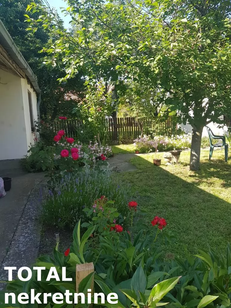 Kuca,NADALJ,NADALJ,kv: 79.00, € 55000, ID: 3091406 2