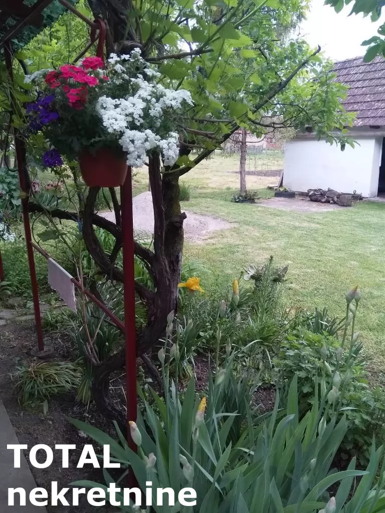 Kuca,NADALJ,NADALJ,kv: 79.00, € 55000, ID: 3091406 4