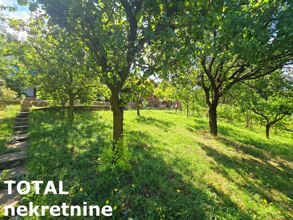 Kuca,SREMSKA KAMENICA,SREMSKA KAMENICA,kv: 64.00, € 145000, ID: 3091248 11