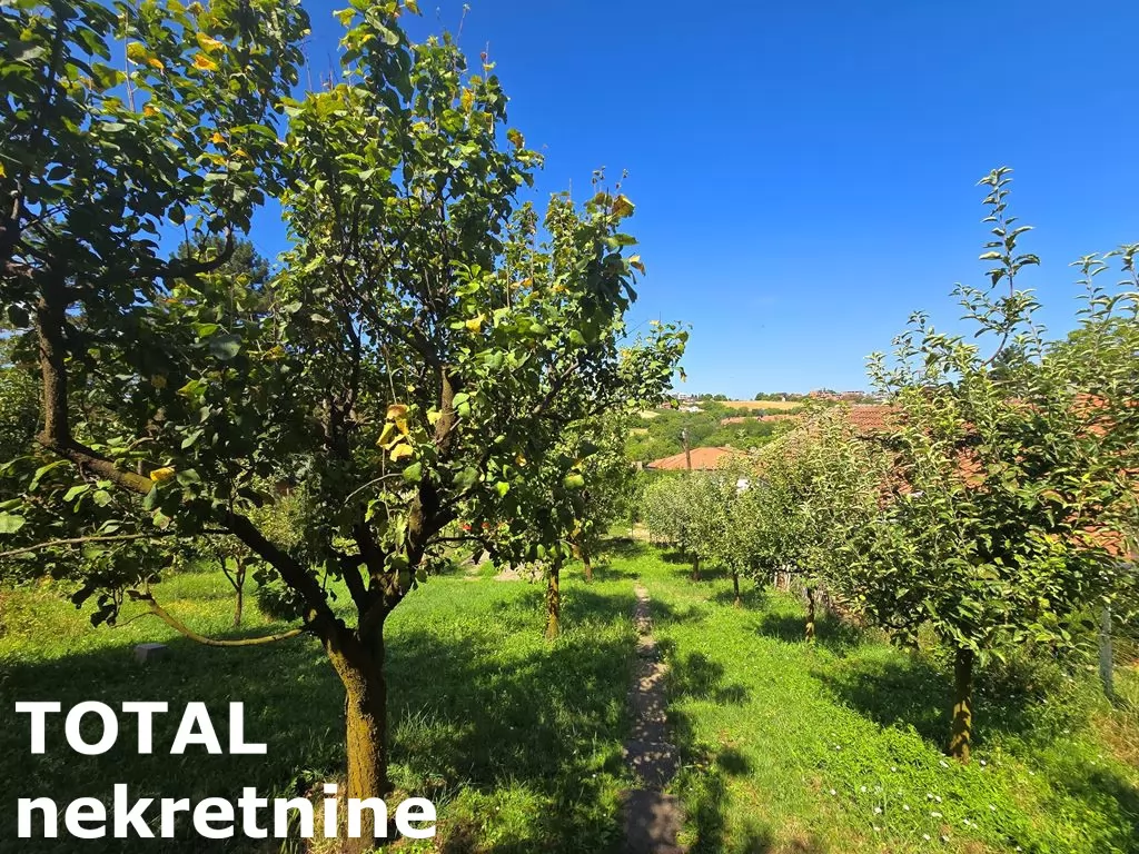 Kuca,SREMSKA KAMENICA,SREMSKA KAMENICA,kv: 64.00, € 145000, ID: 3091248 12