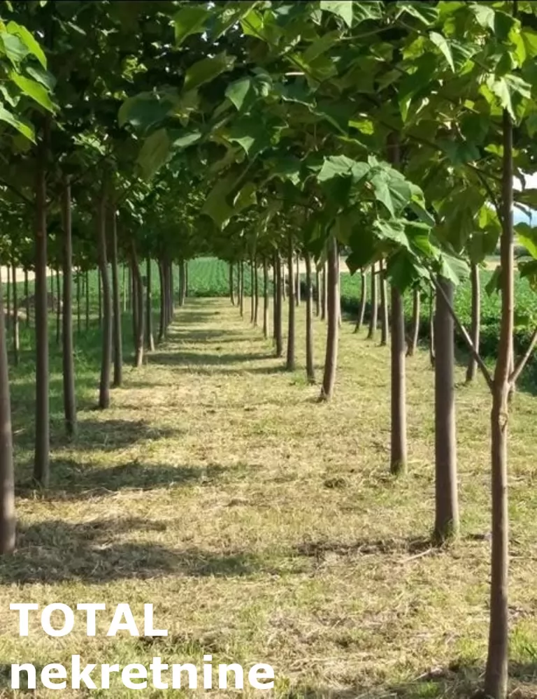 Kuca,SREMSKA MITROVICA,SALAS NOCAJSKI,kv: 60.00, € 62000, ID: 3091259 1