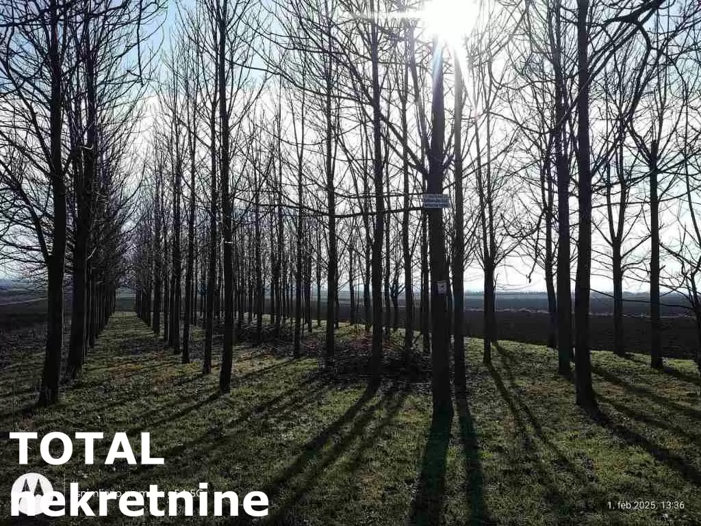 Kuca,SREMSKA MITROVICA,SALAS NOCAJSKI,kv: 60.00, € 62000, ID: 3091259 8