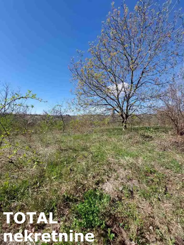 Kuca,VELIKA REMETA,FRUŠKA GORA,kv: 364.00, € 67500, ID: 3091045 5