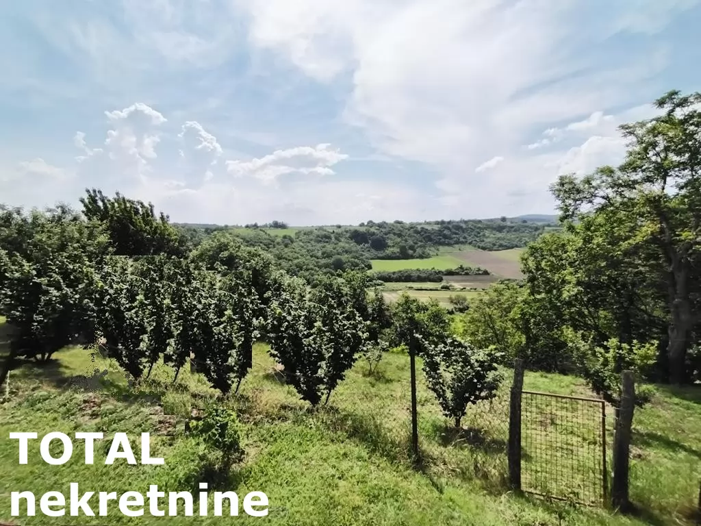 Kuca,VELIKA REMETA,FRUŠKA GORA,kv: 364.00, € 67500, ID: 3091045 9