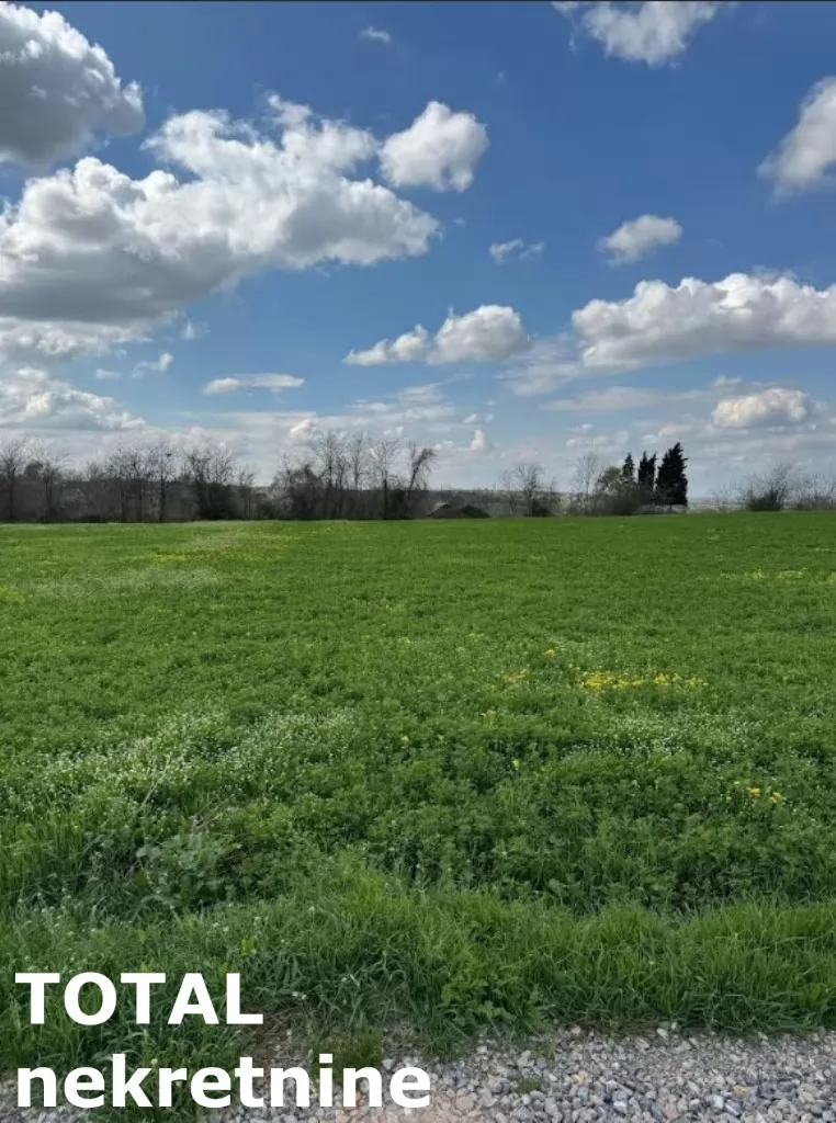 Plac,PETROVARADIN,VEZIRAC,kv: 1438.00, € 77250, ID: 7089860 3