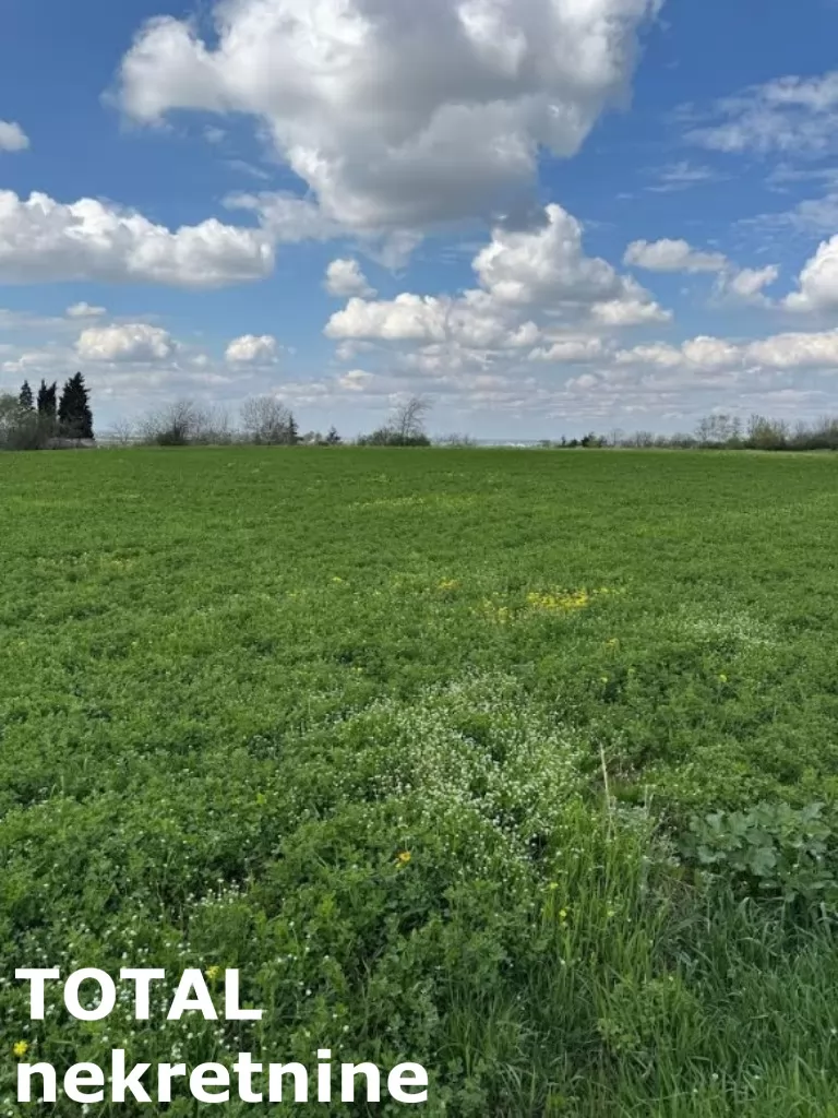 Plac,PETROVARADIN,VEZIRAC,kv: 1438.00, € 77250, ID: 7089860 4