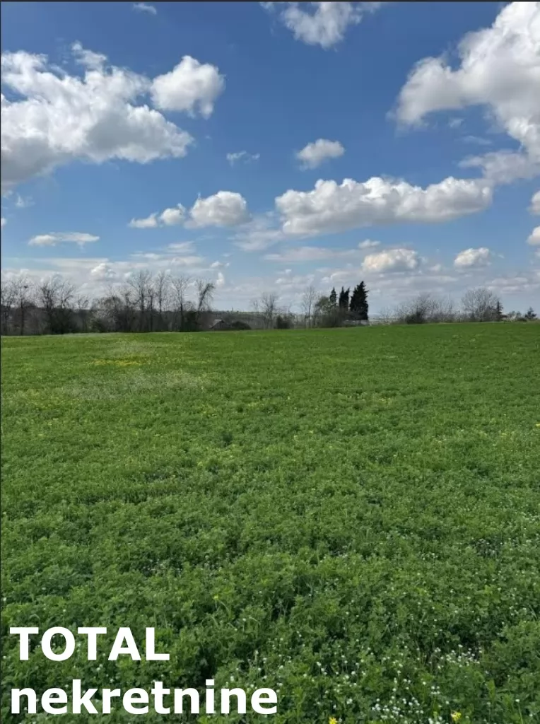 Plac,PETROVARADIN,VEZIRAC,kv: 1438.00, € 77250, ID: 7089860 5