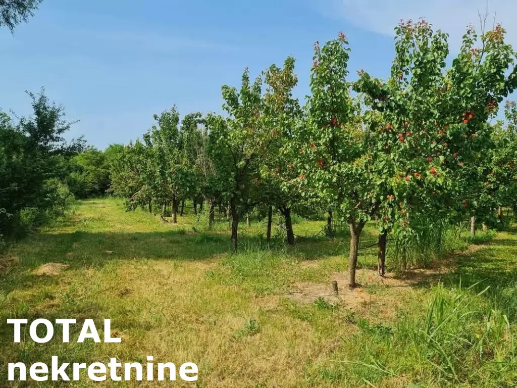 Plac,RUMENKA,RUMENKA,kv: 11019.00, € 66950, ID: 7089842 3