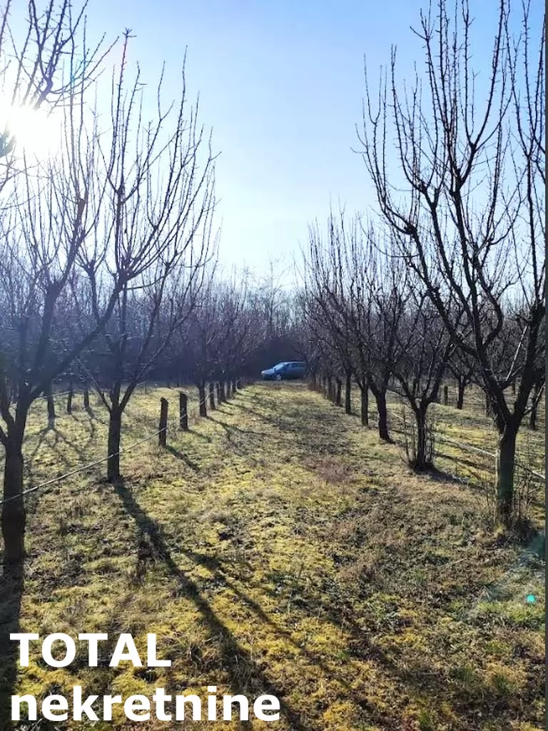 Plac,RUMENKA,RUMENKA,kv: 11019.00, € 66950, ID: 7089842 6