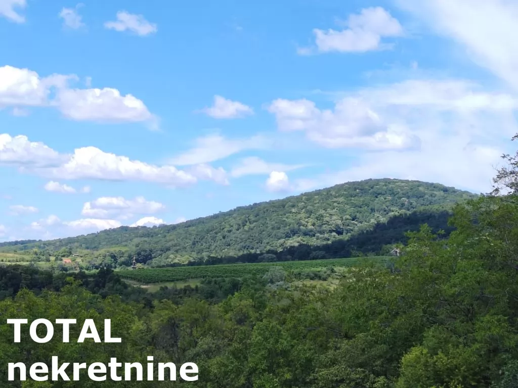 Plac,VELIKA REMETA,FRUŠKA GORA,kv: 5050.00, € 71000, ID: 7089792 1