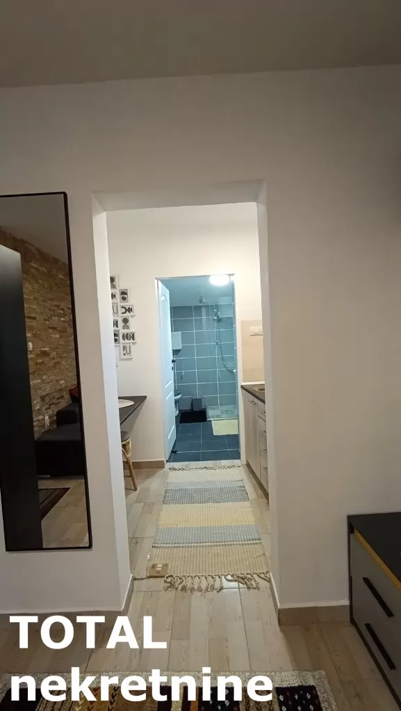 Stan,NOVI SAD,CARA DUSANA,kv: 22.00, € 66950, ID: 1099859 13