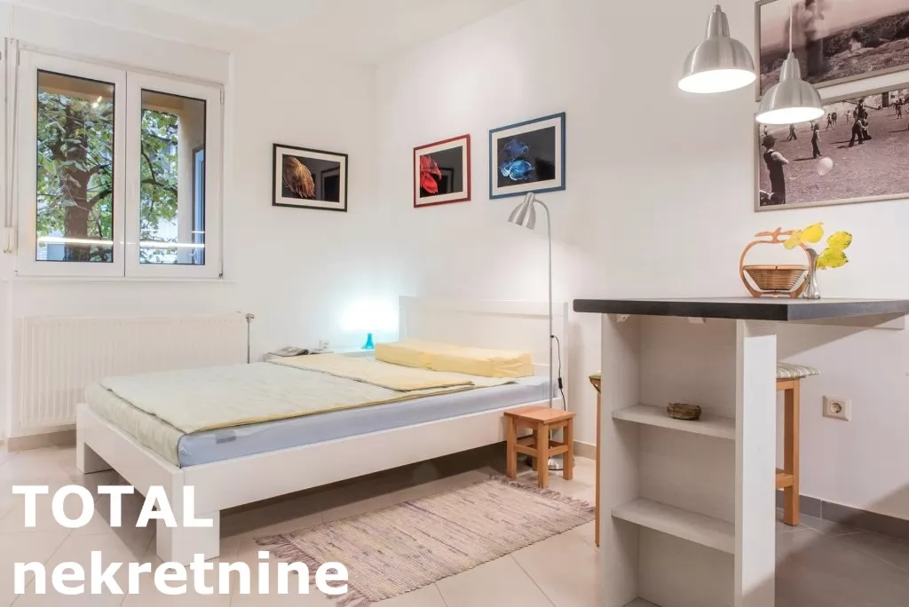 Stan,NOVI SAD,CENTAR,kv: 24.00, € 85000, ID: 1098878 2