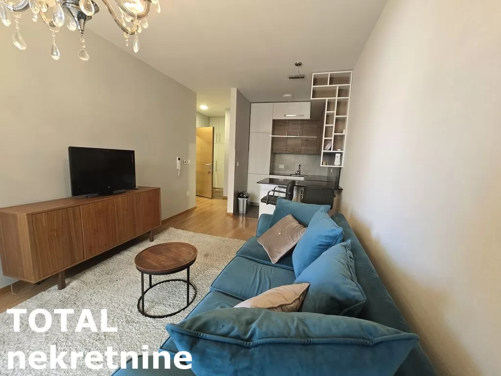 Stan,NOVI SAD,CENTAR,kv: 49.00, € 250000, ID: 1100585 3