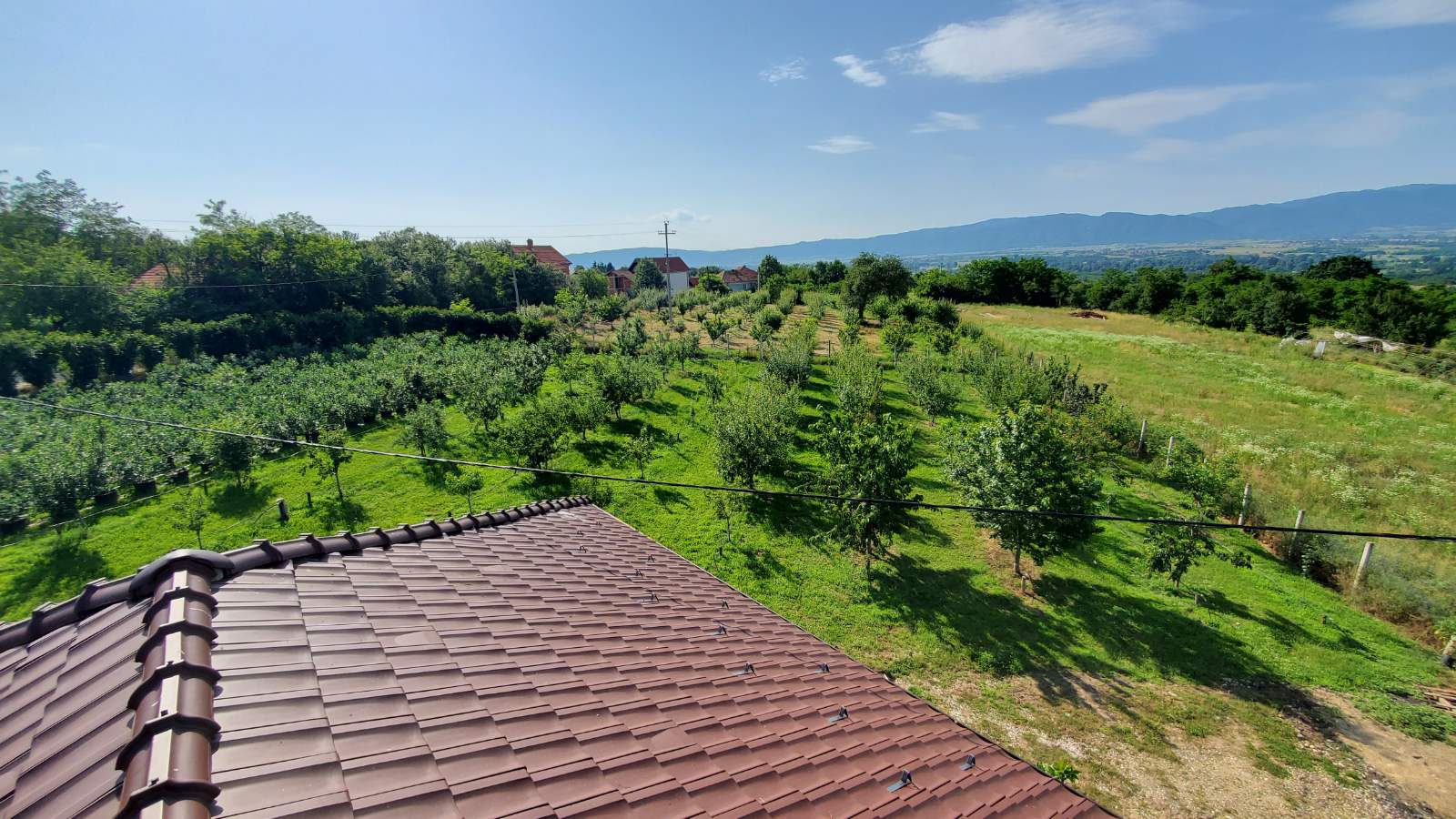 Prodajem kucu sa plantazom Žbevac Bujanovac 4