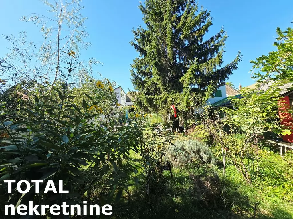 Kuca,SREMSKI KARLOVCI,SREMSKI KARLOVCI,kv: 200.00, € 800000, ID: 3091481 11