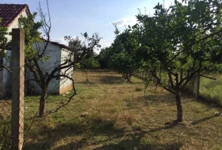 Prodajem kucu sa velikim placem Obrež 5