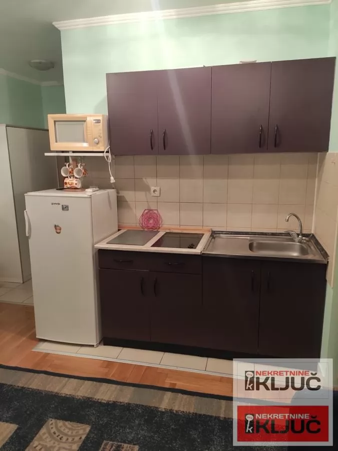 NOVA DETELINARA IZDAJE SE NAMEŠTENA GARSONJERA 5