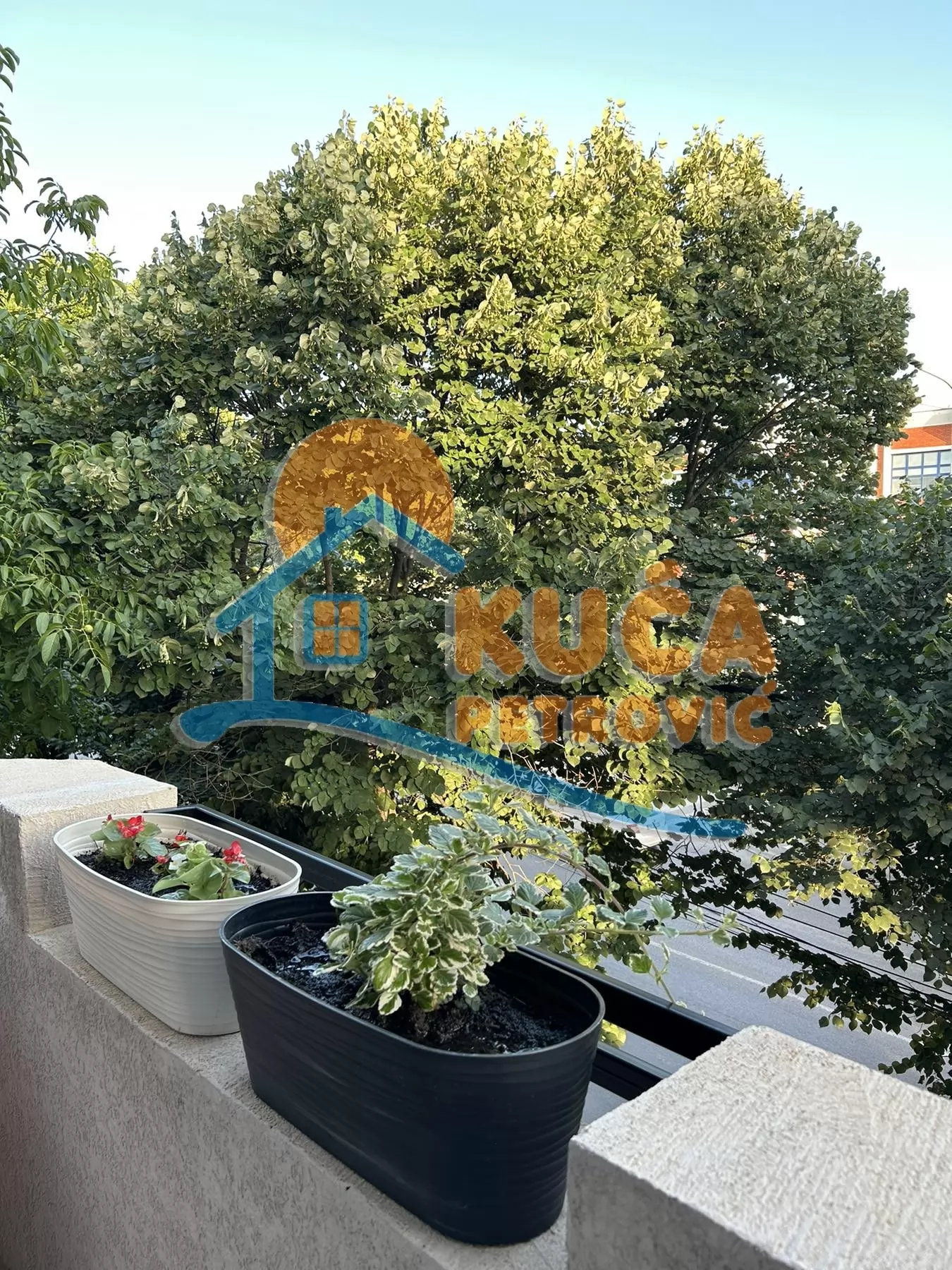 Jednosoban stan, 30 m2, Durlan, Knjaževačka ID: i-09364 21