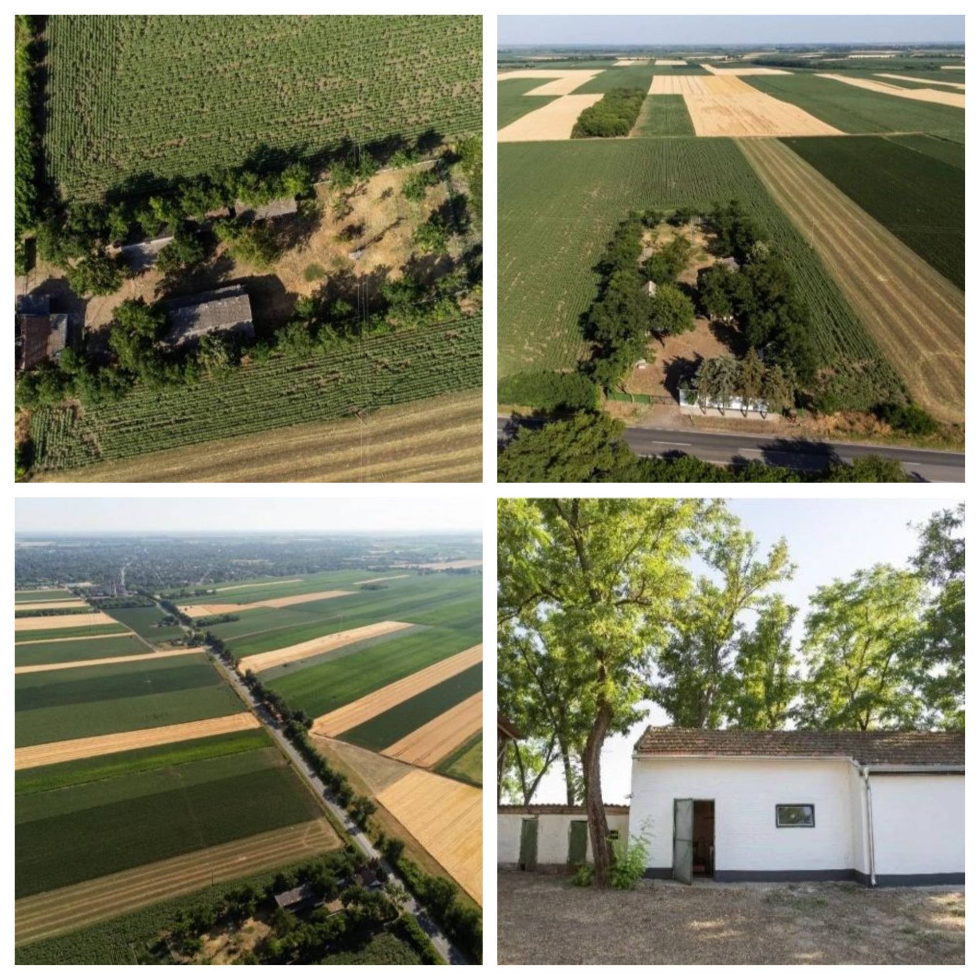 Prodajem salas u Srbobranu 2