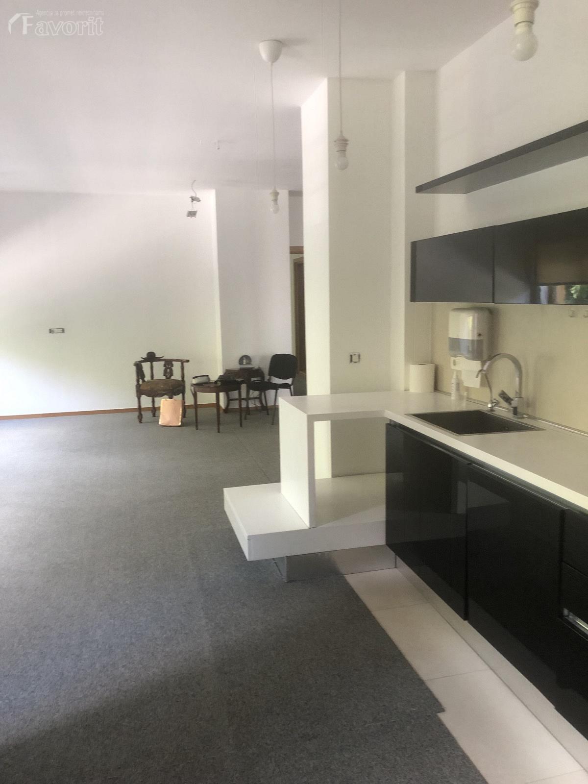 DEDINJE, TEODORA DRAJZERA, 120m2 5