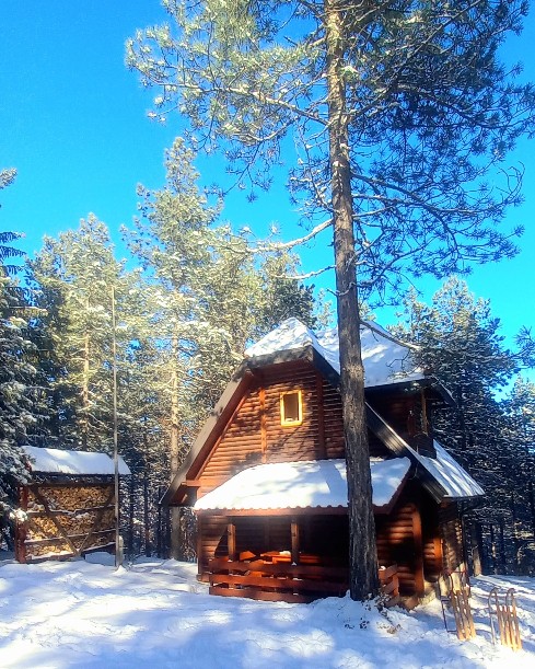 Vila Tarska oblica 3