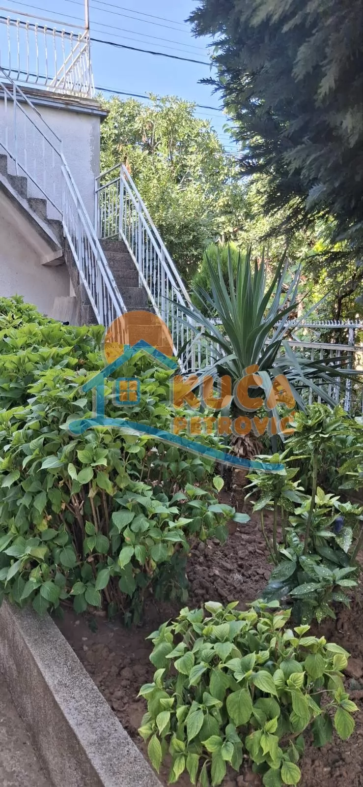 četvorosobna kuća, 251 m2, Palilula, Velikojastrebačka ID: p-015245 14