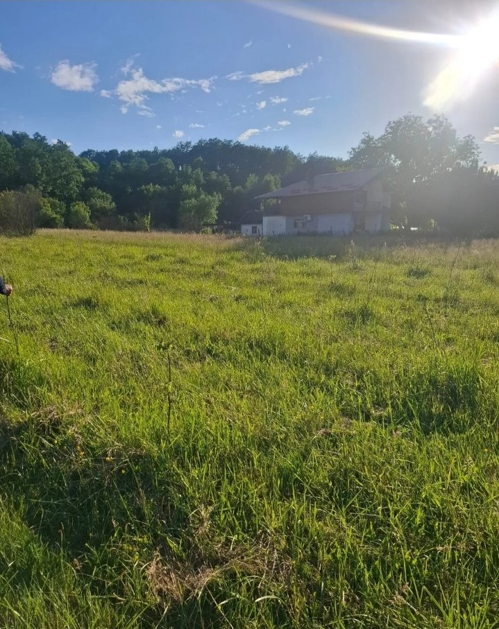 Prodajem plac Modrica Krusevac 3