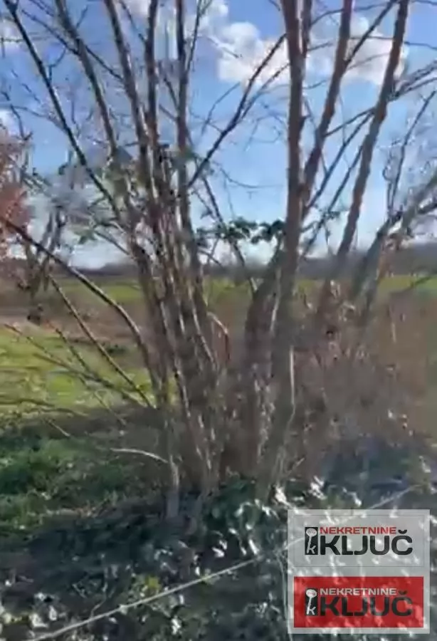 PETROVARADIN-ŠIRINE, PLAC DOZVOLJENA GRADNJA 1635m2 2