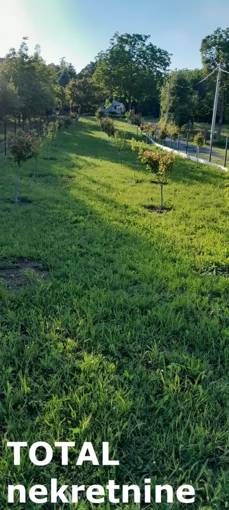 Plac,SREMSKA KAMENICA,PARAGOVO,kv: 427.00, € 42700, ID: 7089997 2