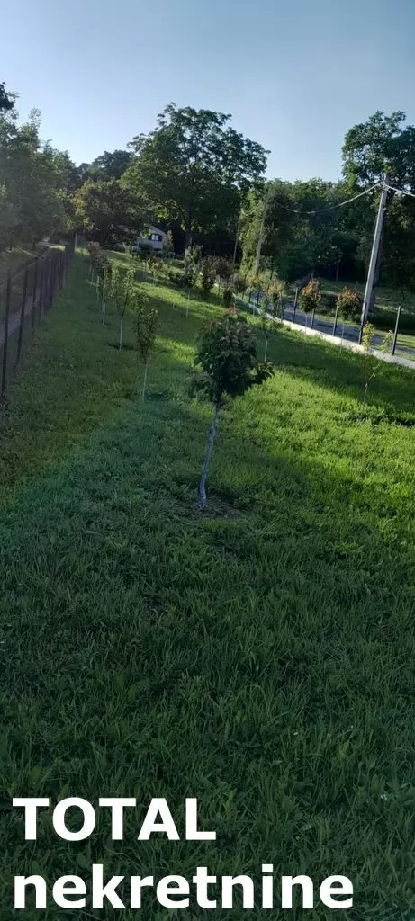 Plac,SREMSKA KAMENICA,PARAGOVO,kv: 427.00, € 42700, ID: 7089997 3