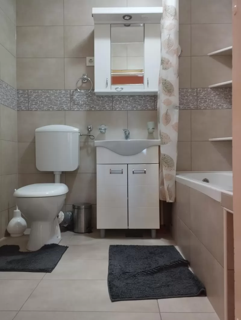 Stan,NOVI SAD,BULEVAR,kv: 51, € 500, ID: 9101895 12