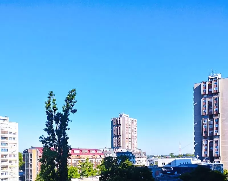 Stan,NOVI SAD,BULEVAR,kv: 51, € 500, ID: 9101895 13