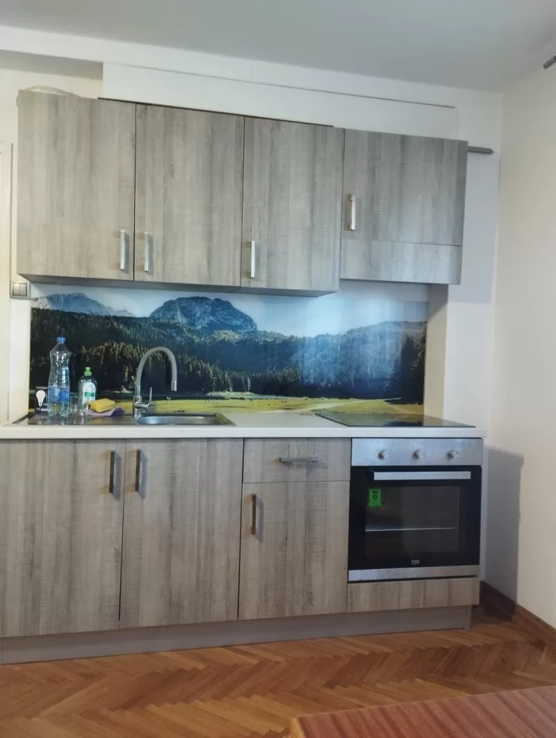 Stan,NOVI SAD,BULEVAR,kv: 51, € 500, ID: 9101895 6