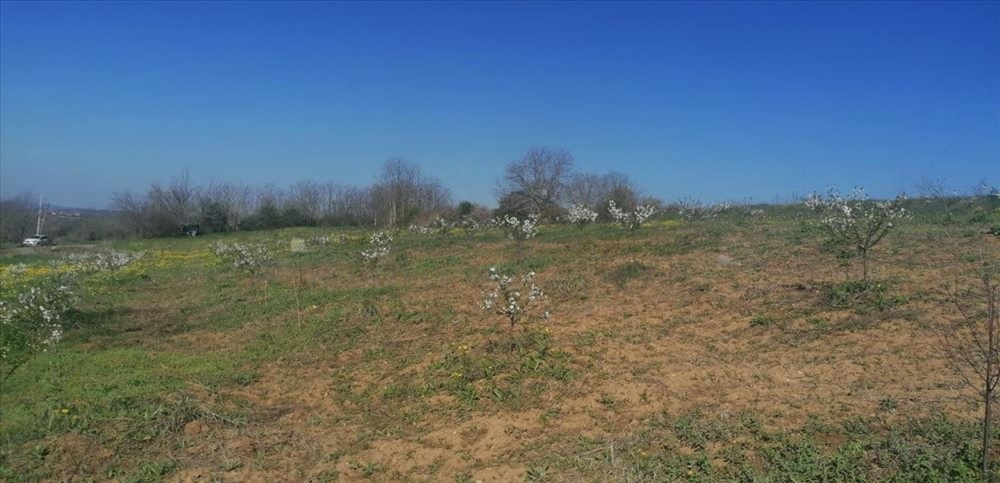 Plac 71 ari   Umčari Grocka 2