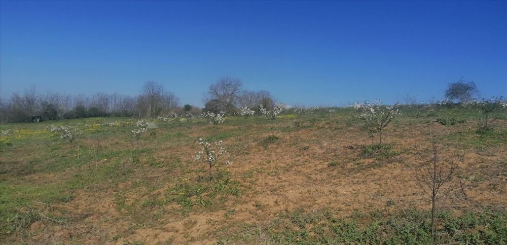 Plac 71 ari   Umčari Grocka 3