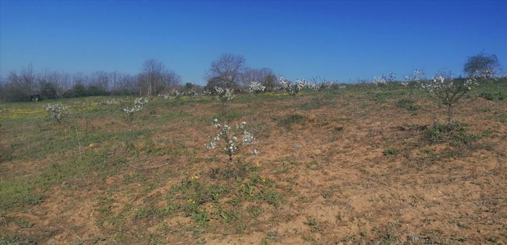 Plac 71 ari   Umčari Grocka 4