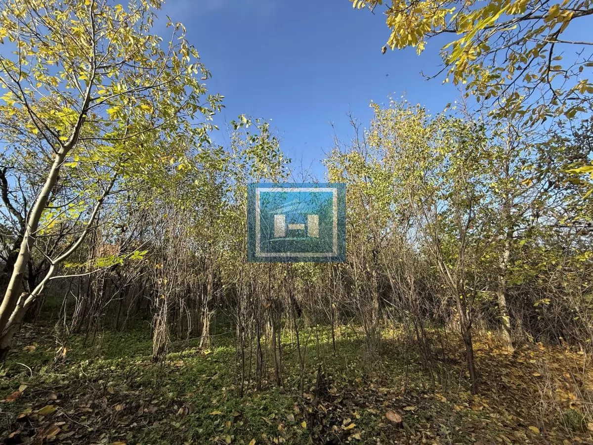 Na prodaju prostrano imanje u selu Crnče – idealno za život ili investiciju 16